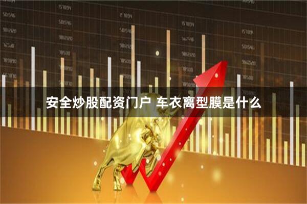 安全炒股配资门户 车衣离型膜是什么