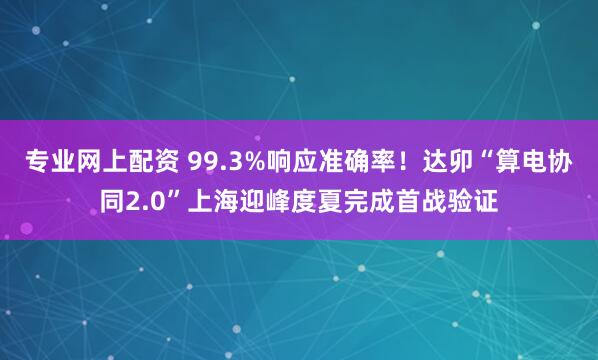 专业网上配资 99.3%响应准确率！达卯“算电协同2.0”上海迎峰度夏完成首战验证